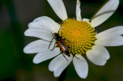 It's lunch time_4679872802_l.jpg